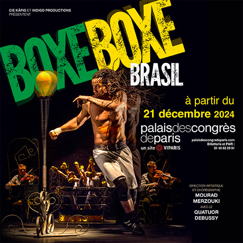 spectacle boxe boxe brasil